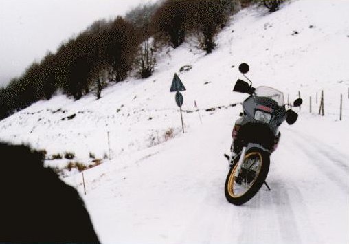 Per Rascino