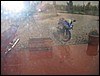 IMG_5532.JPG