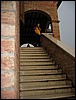 IMG_5533.JPG