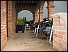IMG_5535.JPG