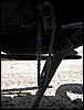 IMG_5577.JPG