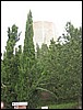 IMG_5590.JPG