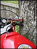 IMG_5599.JPG