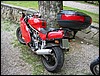 IMG_5600.JPG