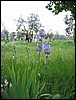IMG_5632.JPG