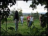 IMG_5634.JPG