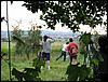 IMG_5635.JPG