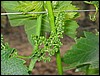 IMG_5639.JPG