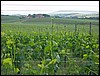IMG_5640.JPG