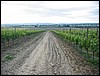 IMG_5646.JPG
