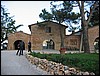 IMG_5649.JPG