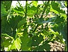 IMG_5697.JPG