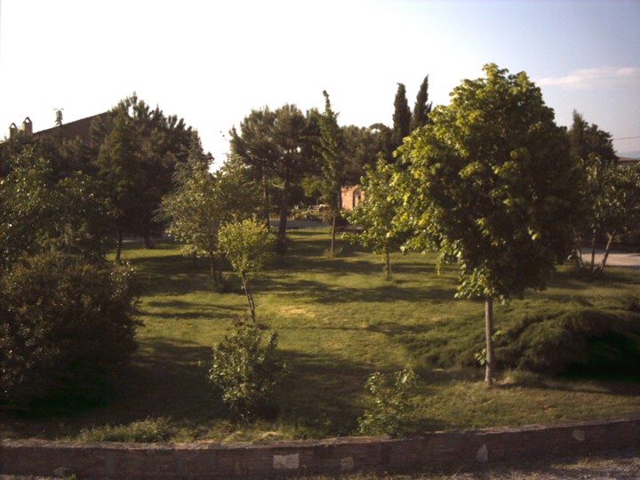 48.JPG