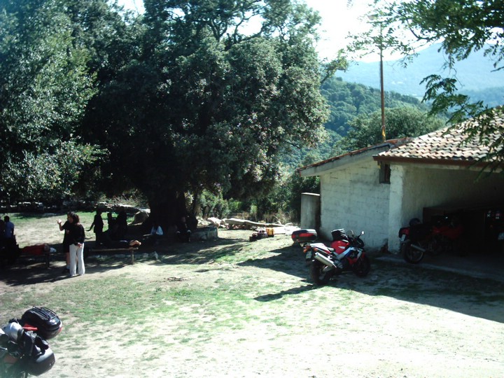 IMAG0055.JPG