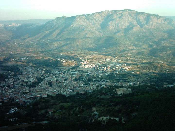 IMAG0087.JPG