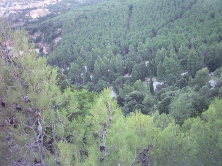 IMAG0089.JPG