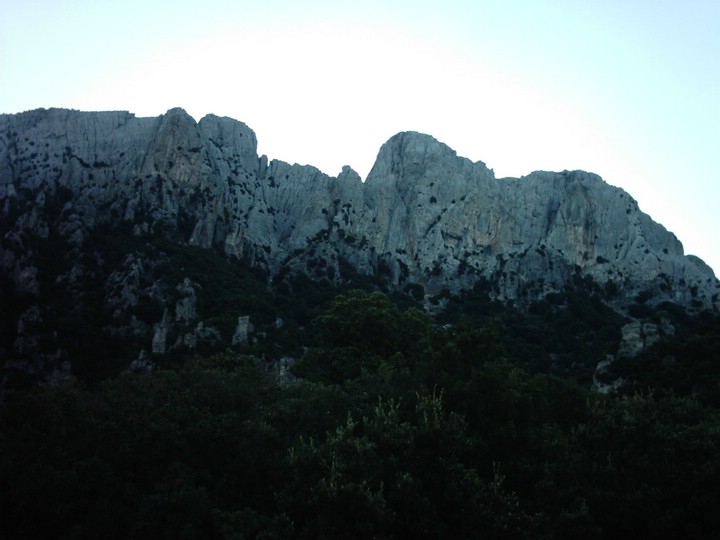 IMAG0091.JPG