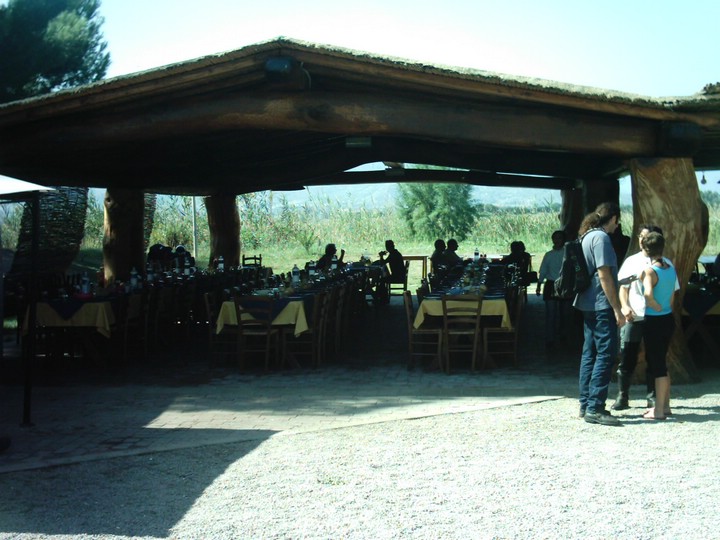 IMAG0101.JPG