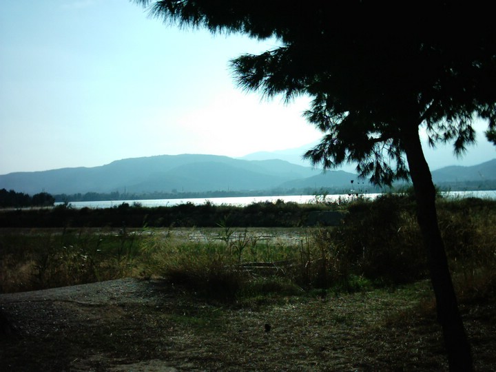 IMAG0110.JPG