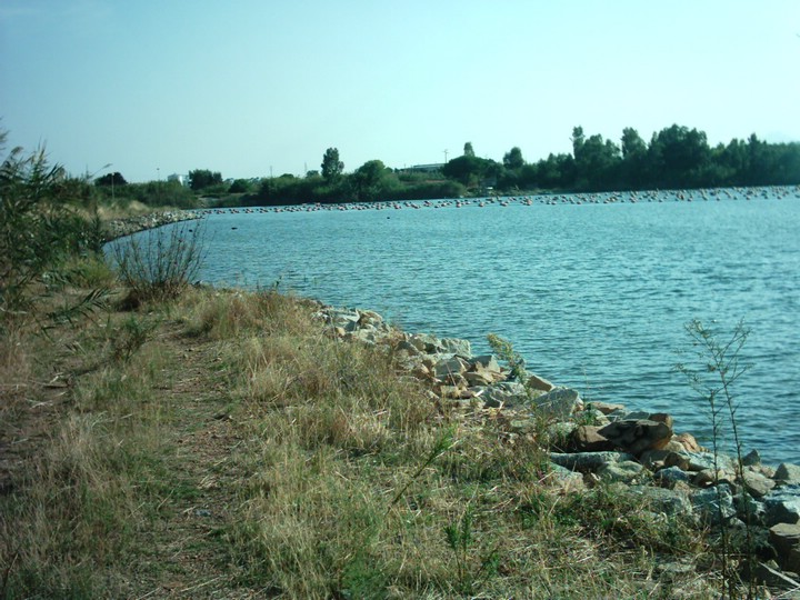 IMAG0111.JPG