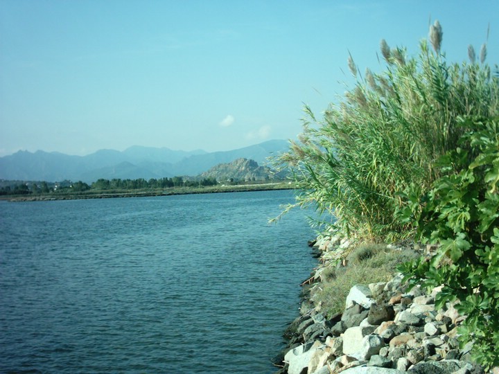 IMAG0112.JPG