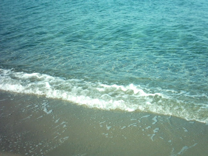 IMAG0119.JPG
