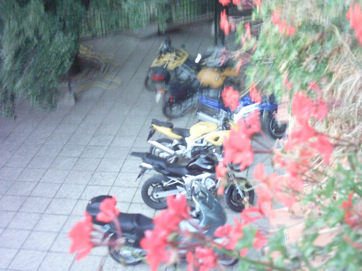 IMAG0128.JPG