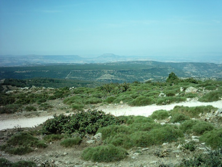 IMAG0148.JPG