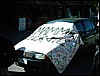 IMAG0029.JPG