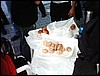 IMAG0041.JPG