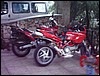 IMAG0084.JPG
