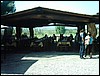 IMAG0101.JPG