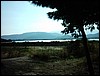 IMAG0110.JPG
