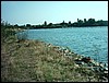 IMAG0111.JPG