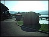 IMAG0117.JPG