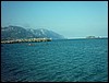 IMAG0120.JPG