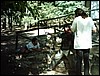 IMAG0179.JPG