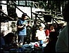 IMAG0181.JPG