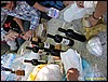 IMG_7841.jpg