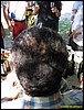 IMG_7847.jpg