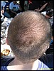 IMG_7852.jpg