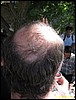 IMG_7855.jpg