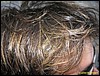 IMG_7874.jpg
