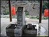 IMG_7887.jpg