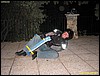 IMG_7901.jpg
