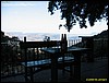 IMG_7931.jpg