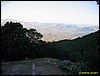 IMG_7932.jpg