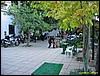 IMG_7933.jpg
