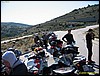 IMG_7940.jpg