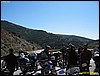 IMG_7944.jpg